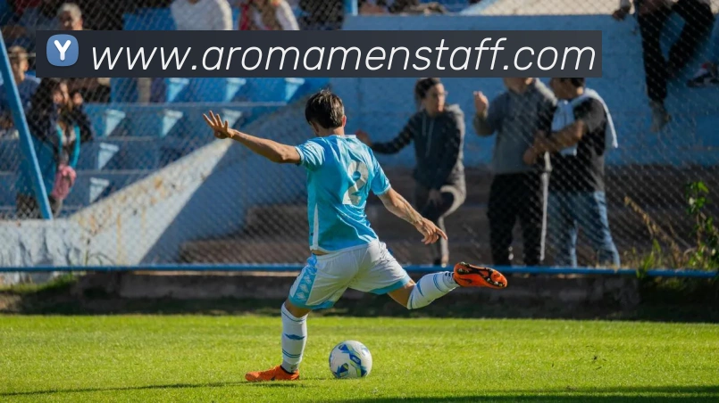 奖项证书